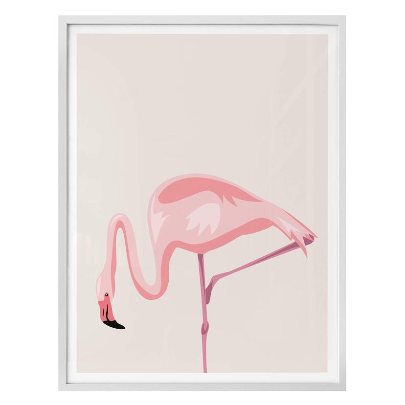 Póster Flamingo 02
