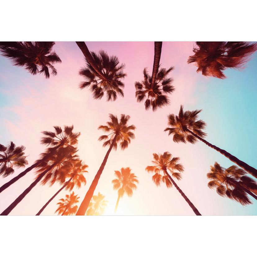 Tropisk fototapet California Dreaming med utsikt över palmer - Hugonnard
