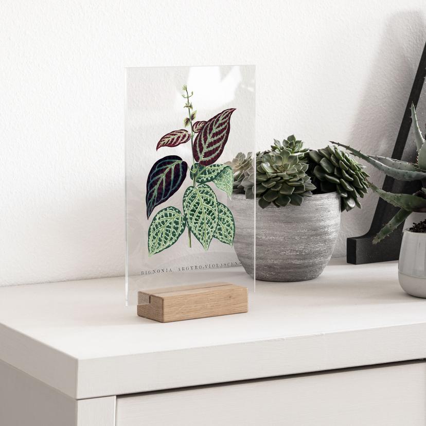 Decorazione da tavolo in vetro acrilico Illustrazione di foglie - Bignonia Argyro Violascea