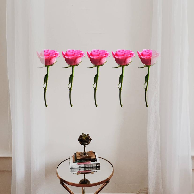 Sticker mural - Bordure Roses