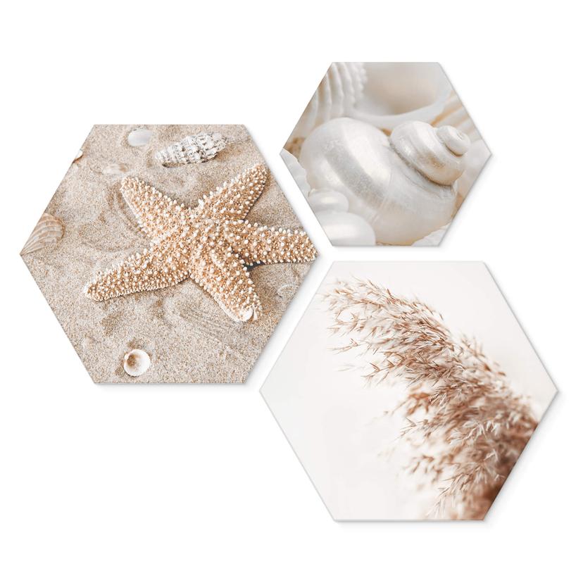 Hexagon Dibond Beach Moments (3-delig)