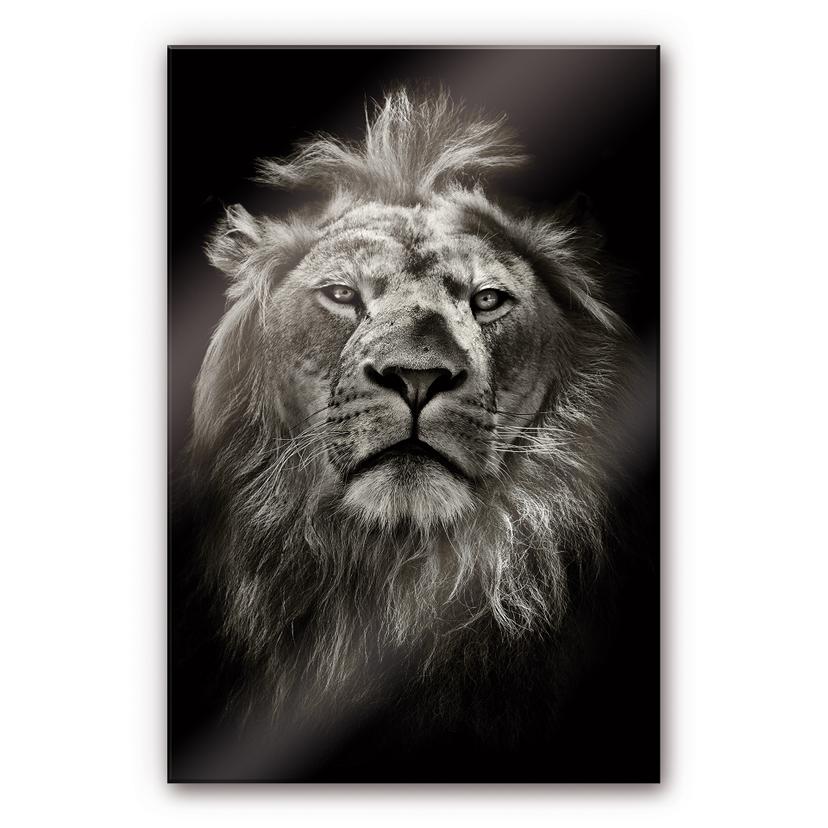 Tableau en verre acrylique - Lion