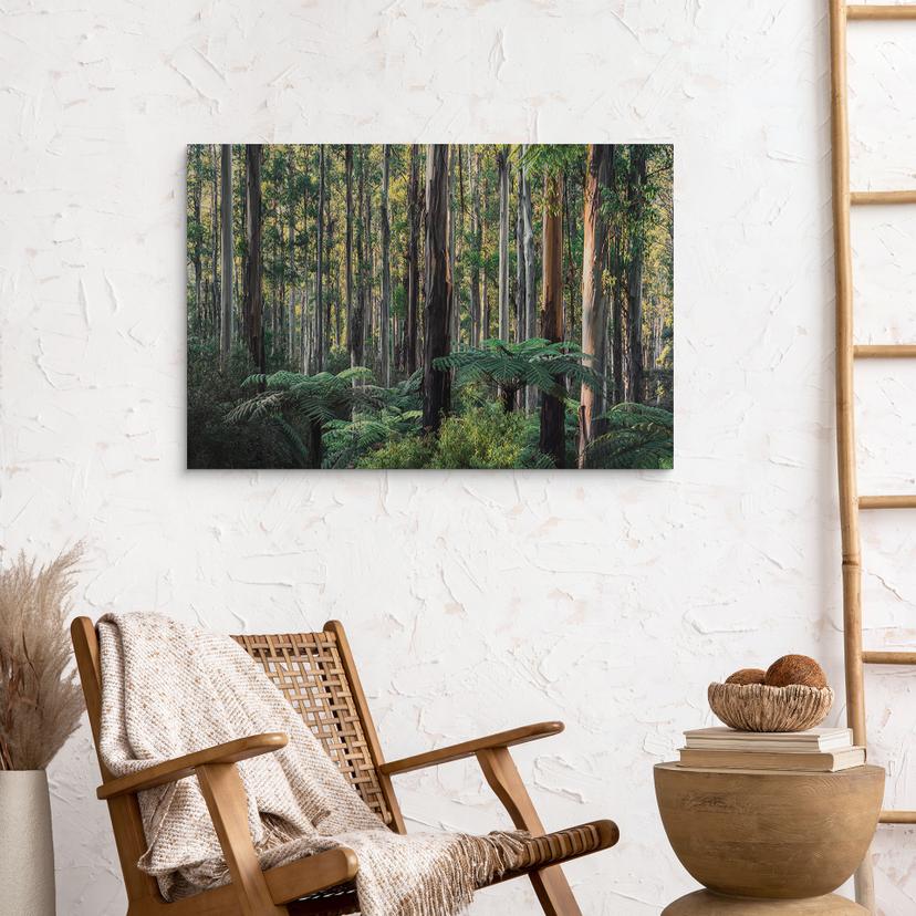 Stampa su legno della foresta di eucalipti negli Yarra Ranges - Colombo