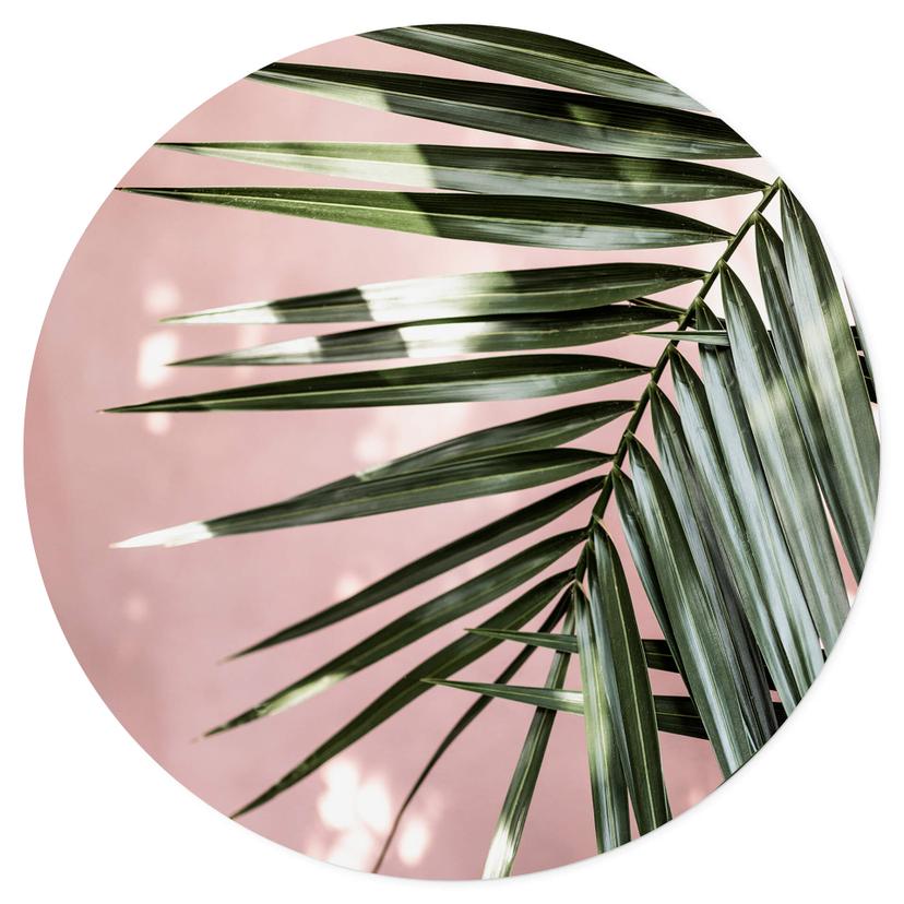Muursticker Palmblad voor roze muur - Böhmer