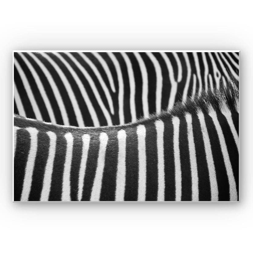 Tableau Forex - Motif zèbre