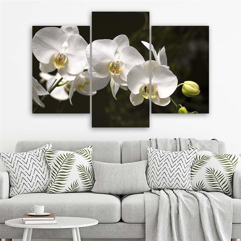 Stampa su tela 3 pezzi Fiori di orchidea Natura Bianco