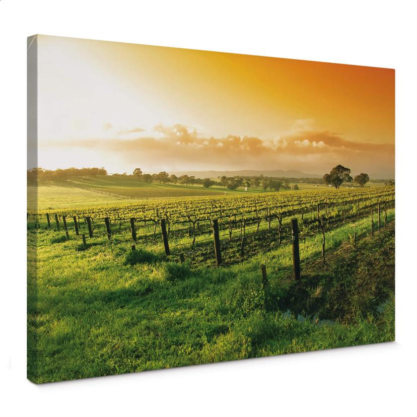 Stampa su tela Vino al tramonto