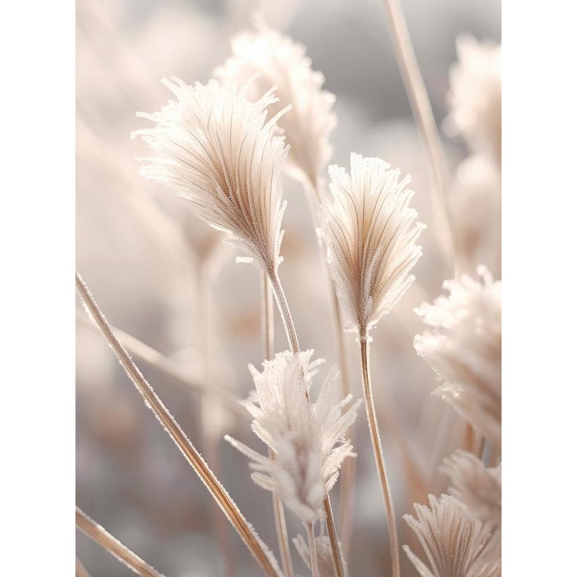 Fotomurale Erbe dai colori pastello - Treechild