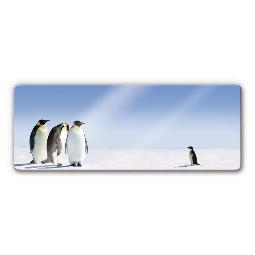 Tableau en verre - Manchots