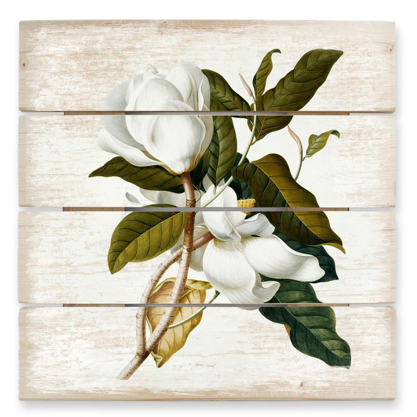 Cuadro de madera Ehret - Magnolia - 40x41,5 cm