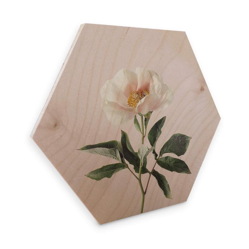 Hexagon Hout Sisi & Seb - Delicate Flower