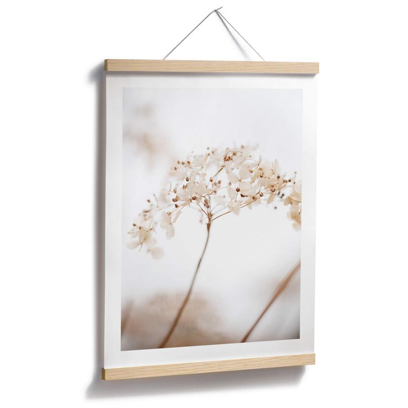 Póster 1X Studio - Rama con delicadas flores