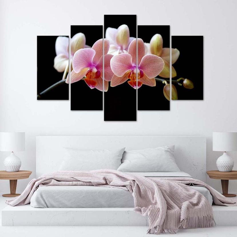Stampa su tela 5 pezzi, orchidea rosa