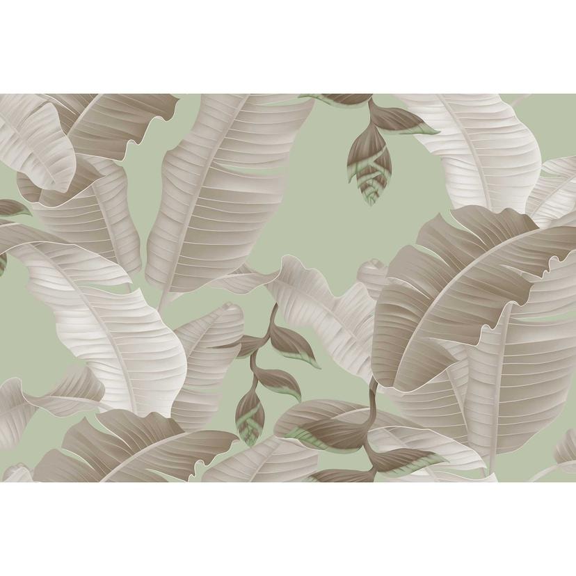 Livingwalls papier peint photo ARTist Heliconia avec Palmiers gris, vert