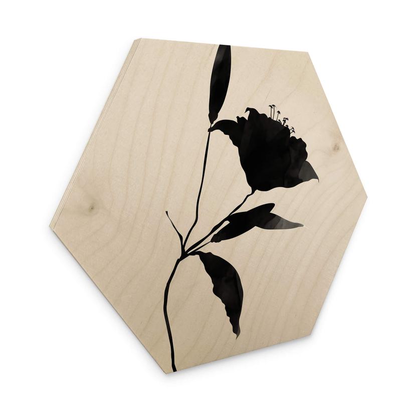 Esagono in legno Kubistika - Nero