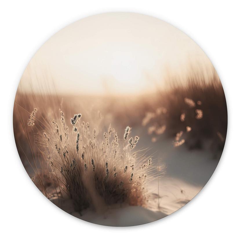 Vægcirkel Treechild - solnedgang over klitterne – print på aluminium (Alu-Dibond)