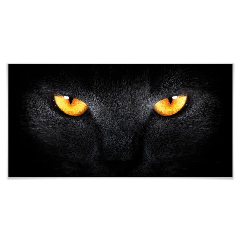 Póster ojos de gato