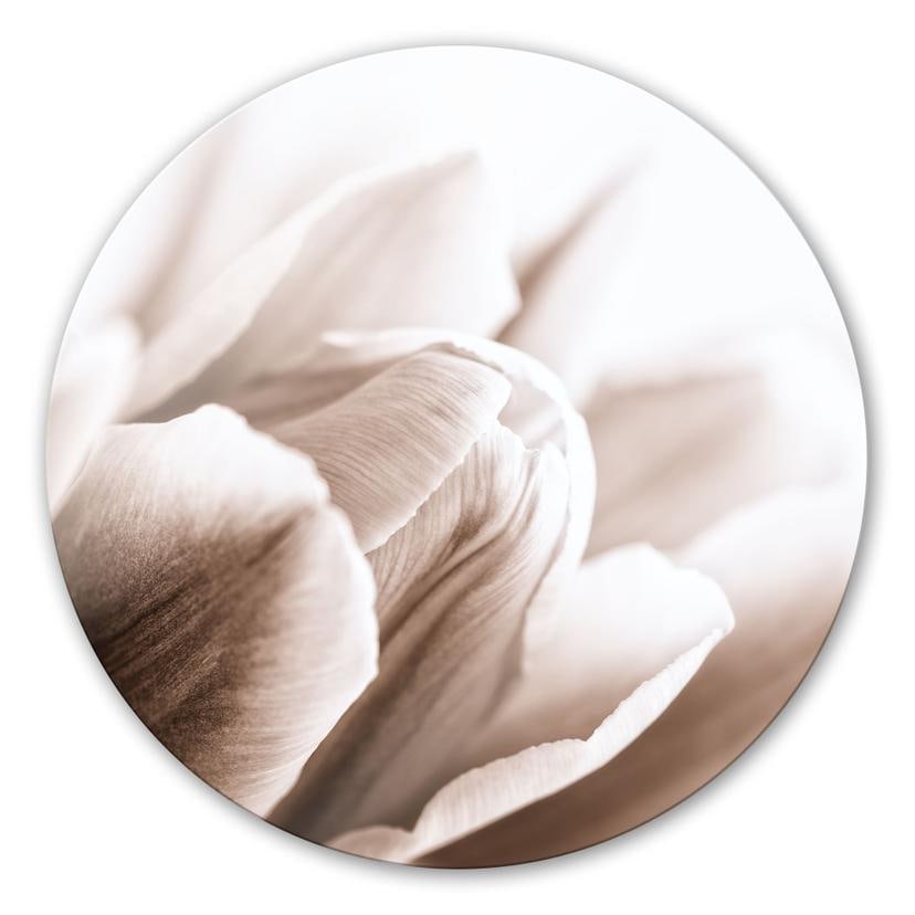 Tableau en verre - Tulipe en détail - rond