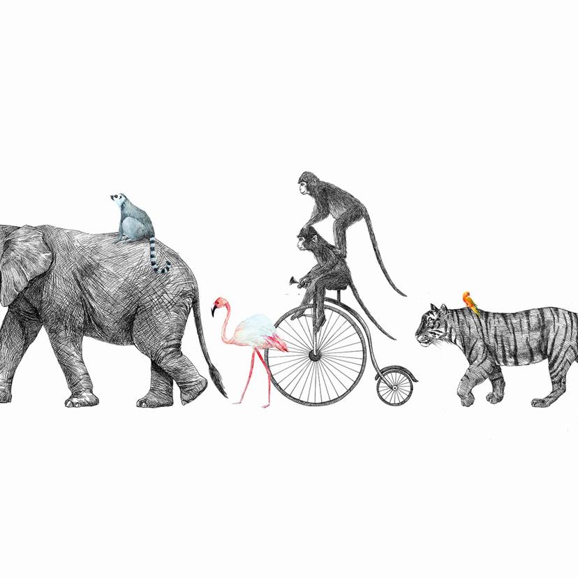 AnimalQueue in bianco grigio - Carta da parati in tessuto non tessuto Designwalls 2 - 2,55 x 3,5 m