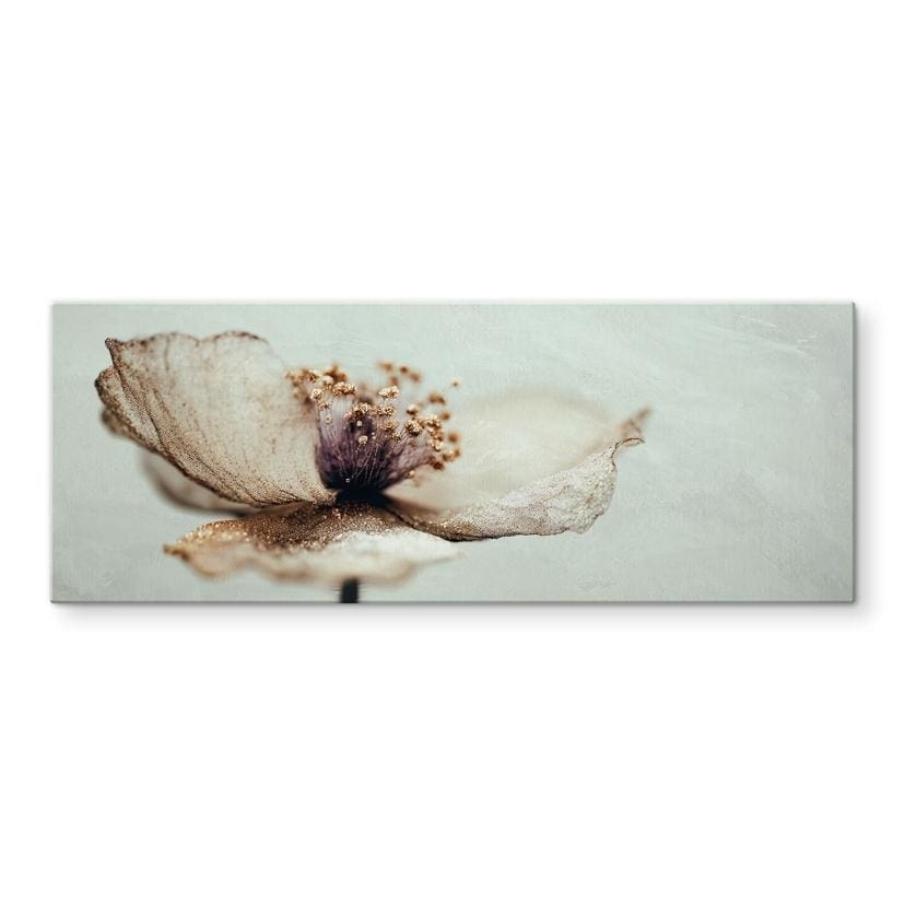 Glasbillede - Delikat tørret blomst i beige | Blomstret vægkunst til stuen - Treechild - Panorama