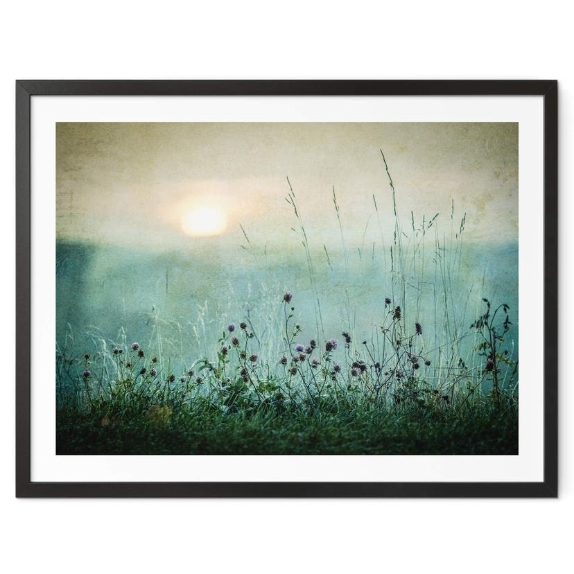 Plakat Kværnstrøm - Dew-covered sunrise