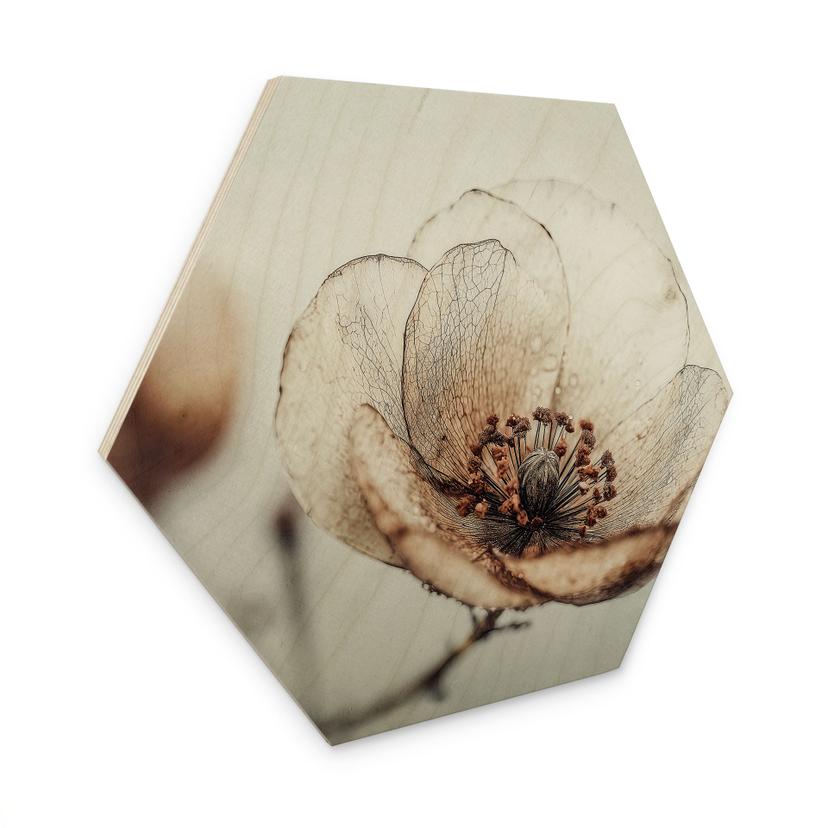 Sekskantet Billede af træ tør blomster beige natur poesi - Treechild