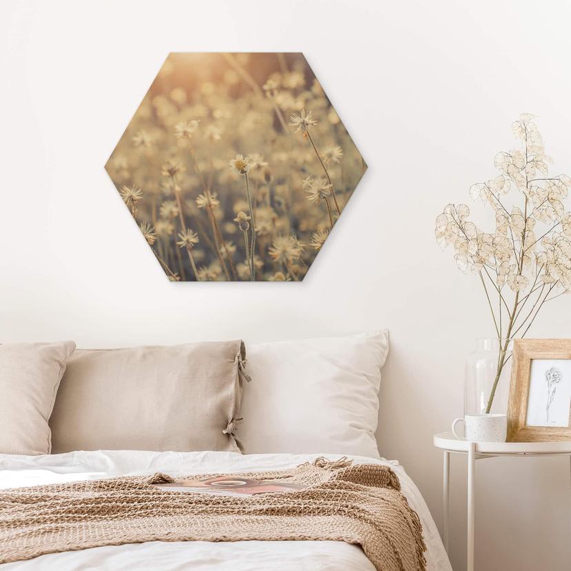 Esagoni legno Mexican Daisy