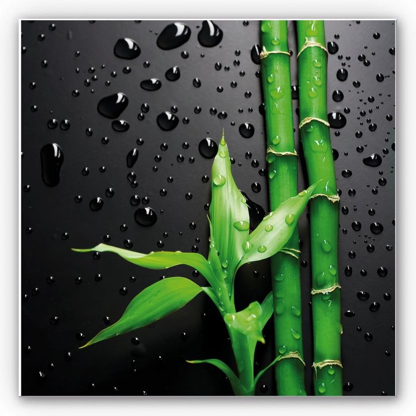 Tableau Forex - Bambou sur fond noir - format carré