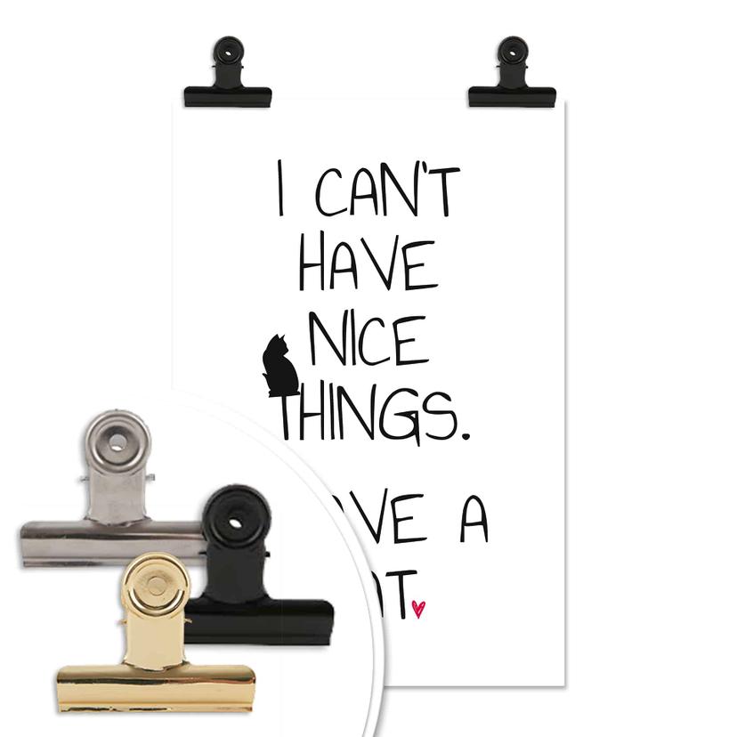 Poster - I can't have nice Things - Cat