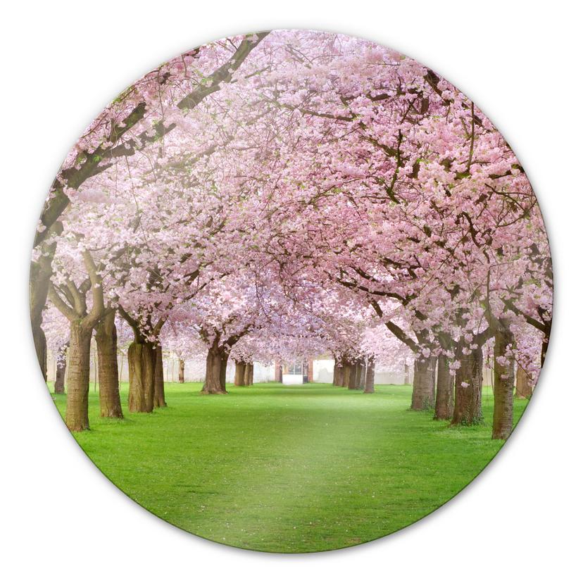 Tableau en verre - Printemps - rond