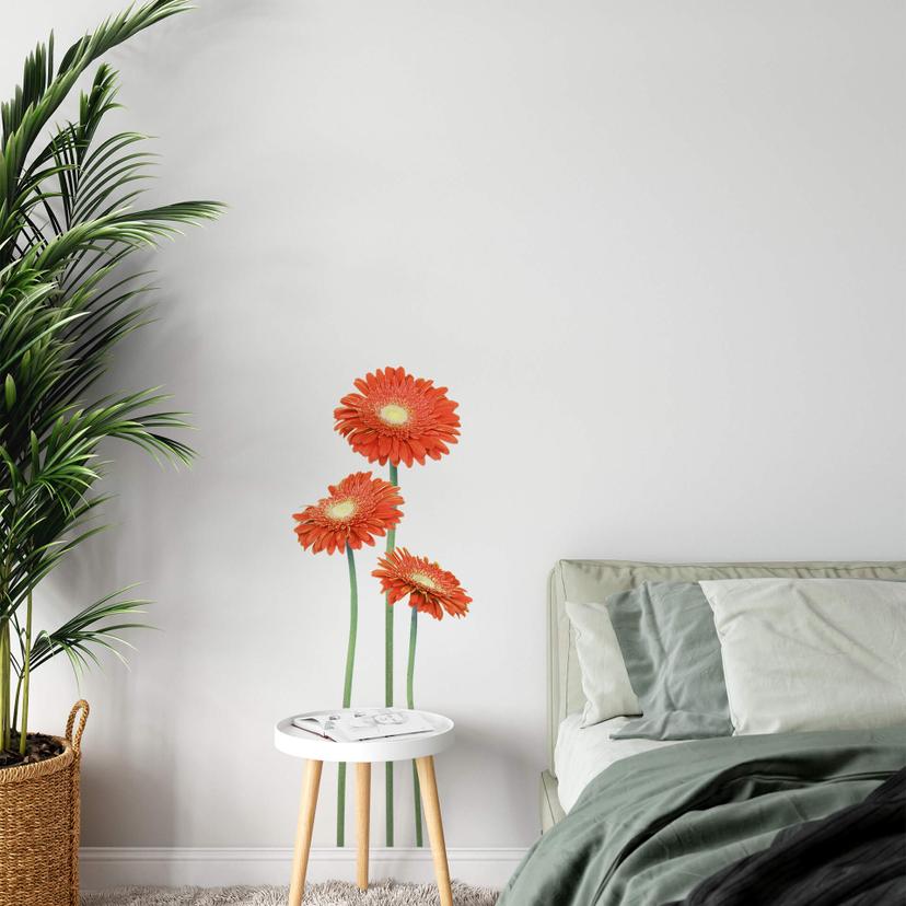 Bundt Gerbera Orange