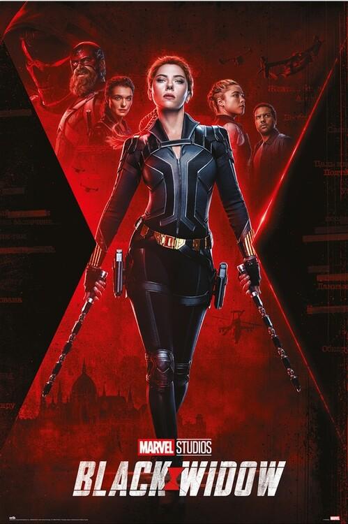 Poster, Film poster Black Widow - Unfinished Business 61x91,5 cm