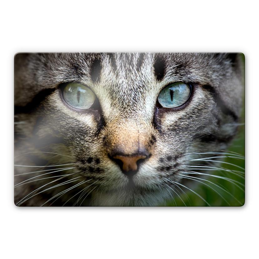 Tableau en verre Cuadrado - Dans les yeux