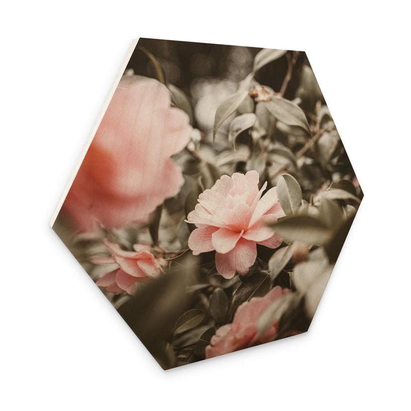 Hexagone - Bois Annie - Roses