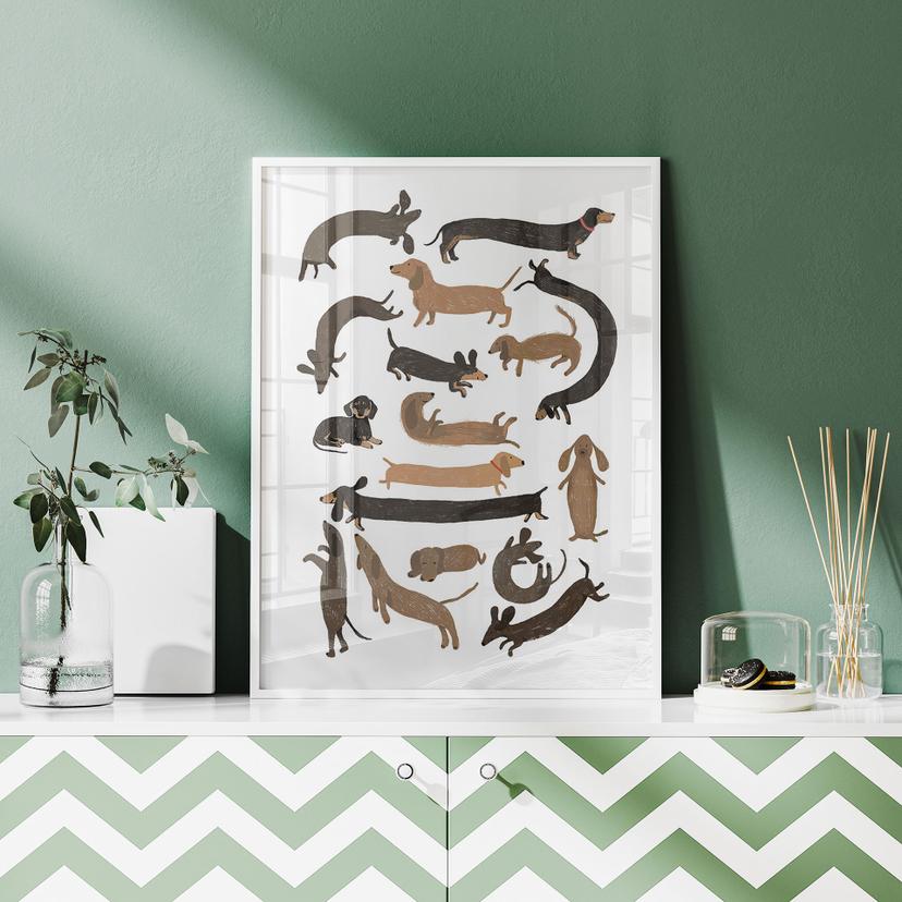 Poster Bassotti giocherelloni - Illustrazione di cani - Melin