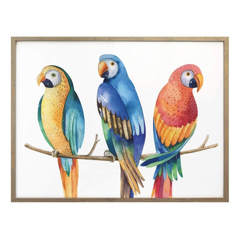 Póster Kvilis - Loros de colores