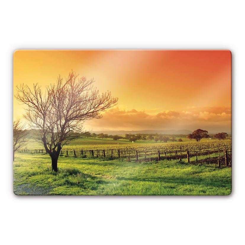 Tableau en verre - Vignobles