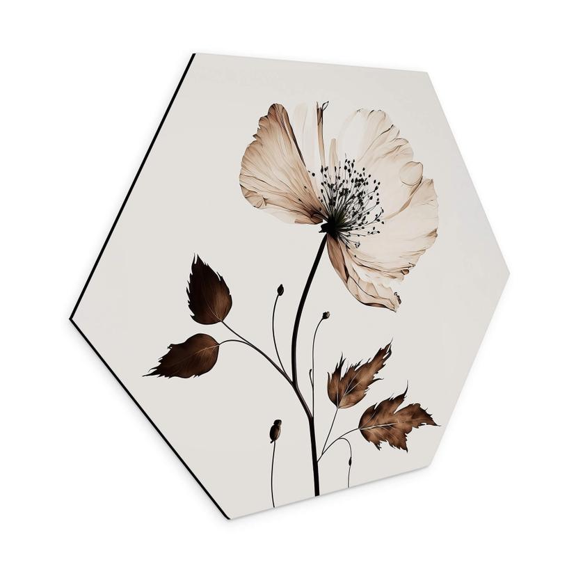 Hexagon Dibond Dried Flowers in Cream - Treechild