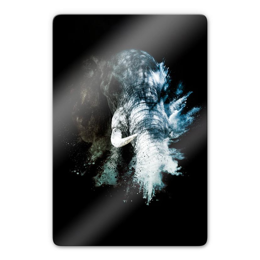 Tableau en verre - Hugonnard Wild Explosion : Eléphant