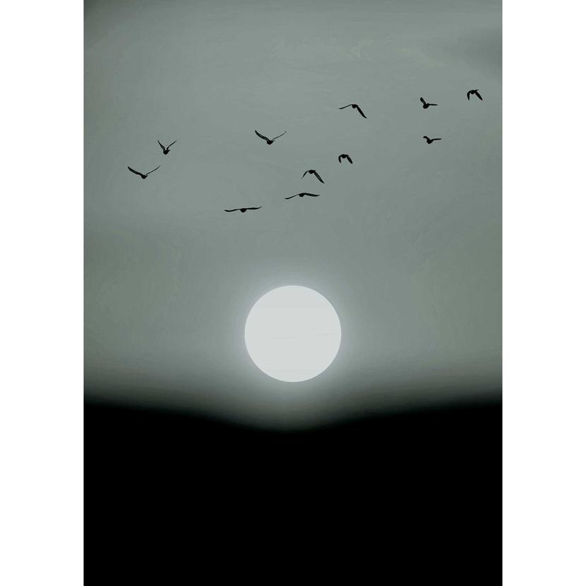 Livingwalls papier peint photo ARTist Winter Lights Winter