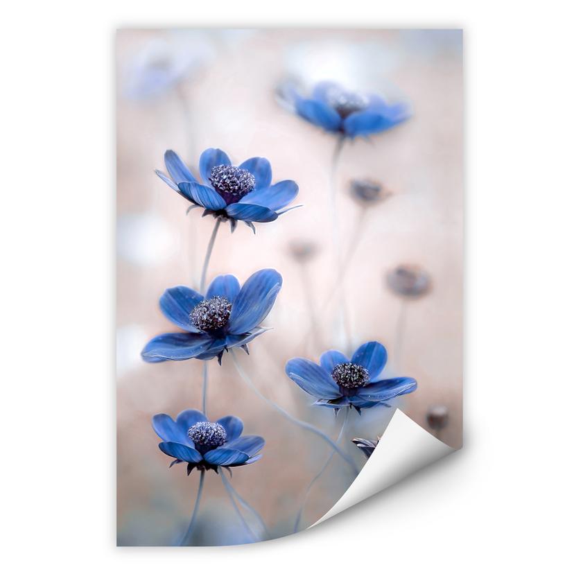 Muurprint Disher - Blue Cosmos