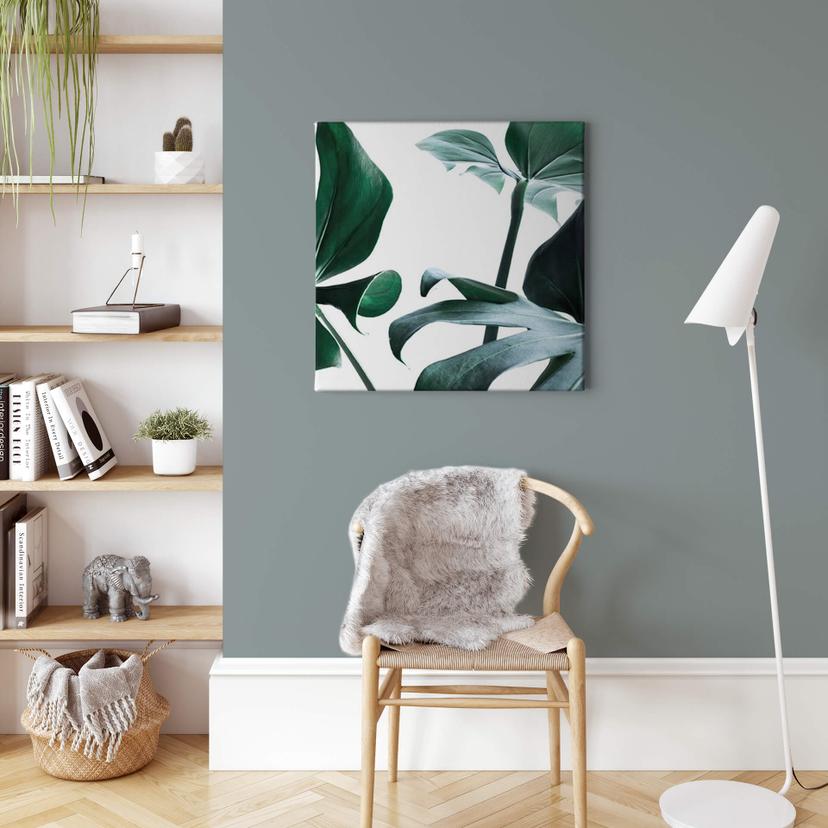 Lienzo Jungla Urbana 03 - Monstera Deliciosa- Cuadrado