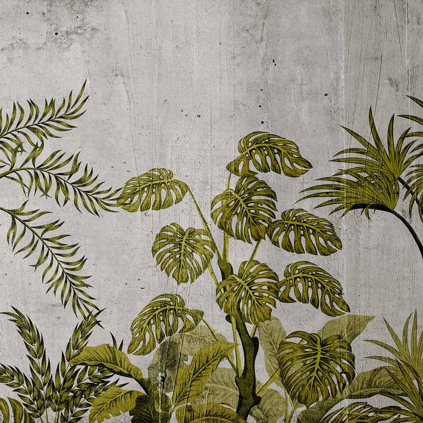 JungleConcret2 Carta da parati in grigio verde - Tessuto non tessuto Designwalls 2 - 2,55 x 3,5 m