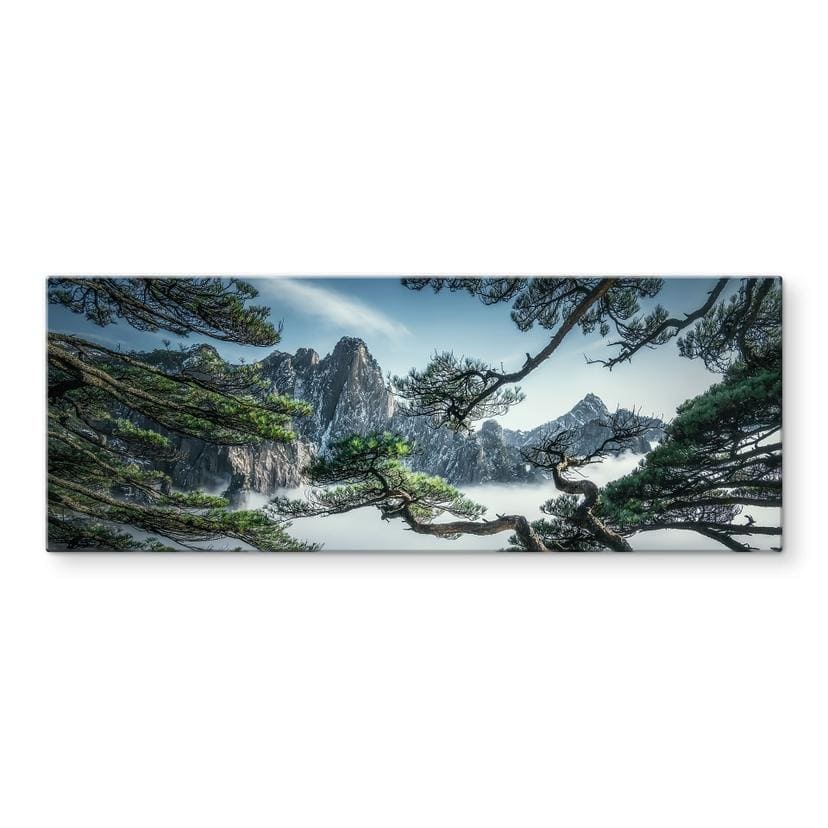 Glasbillede - Fyrreskov i Huang Shan-bjergene - NingYun Ye - Panorama