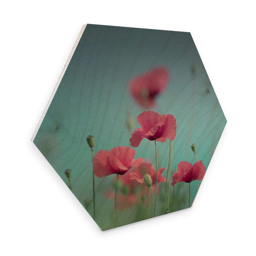 Hexagone - Placage bois de bouleau Delgado - Pastel de coquelicots