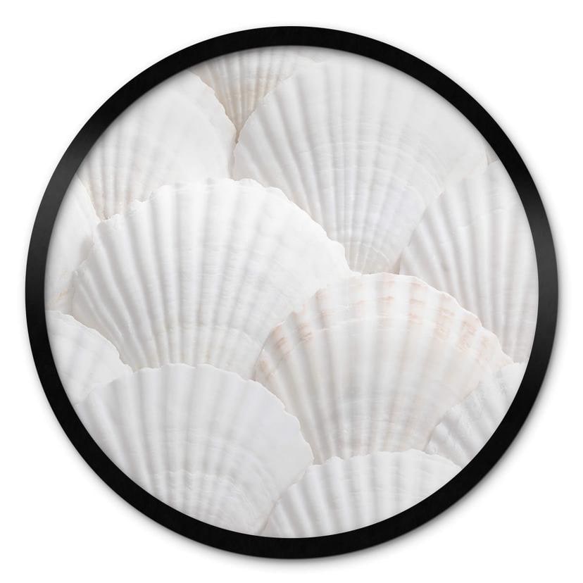 Plakat Shells