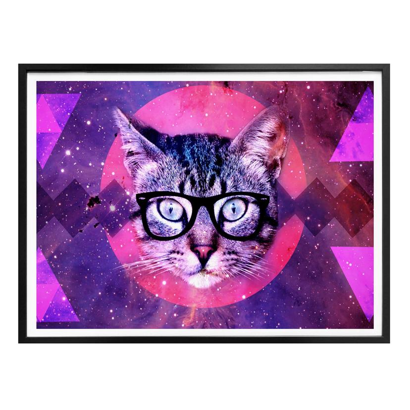 Póster Gato Nerd