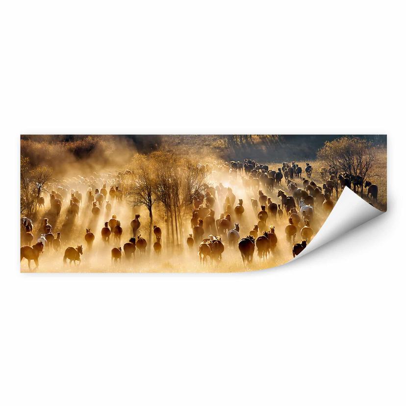 Wallprint Zhu - Wildpferde in den Bergen - Panorama