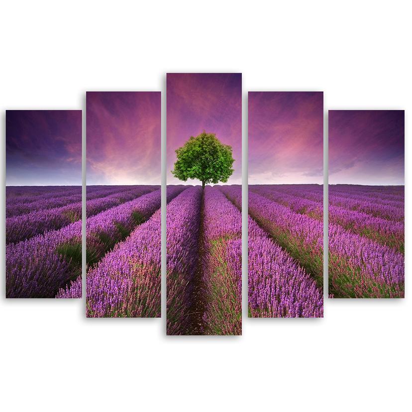 Stampa su tela 5 pezzi, fiori di prato viola