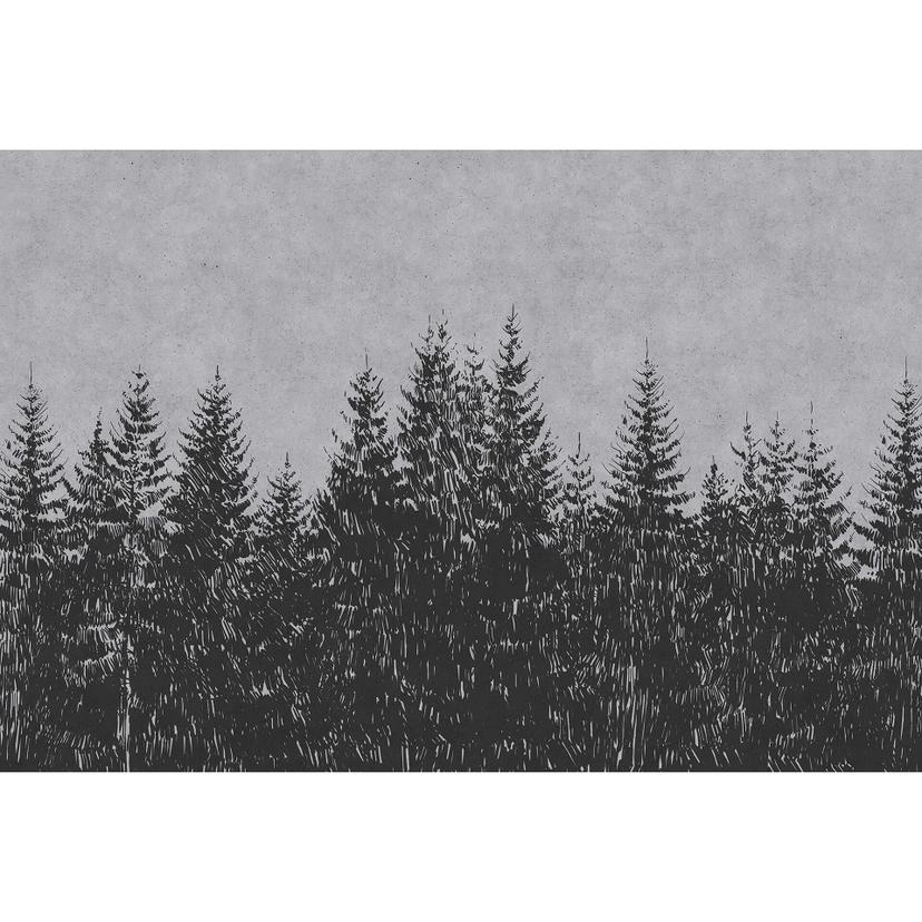 Livingwalls Fotomurale Walls by Patel black forest 3